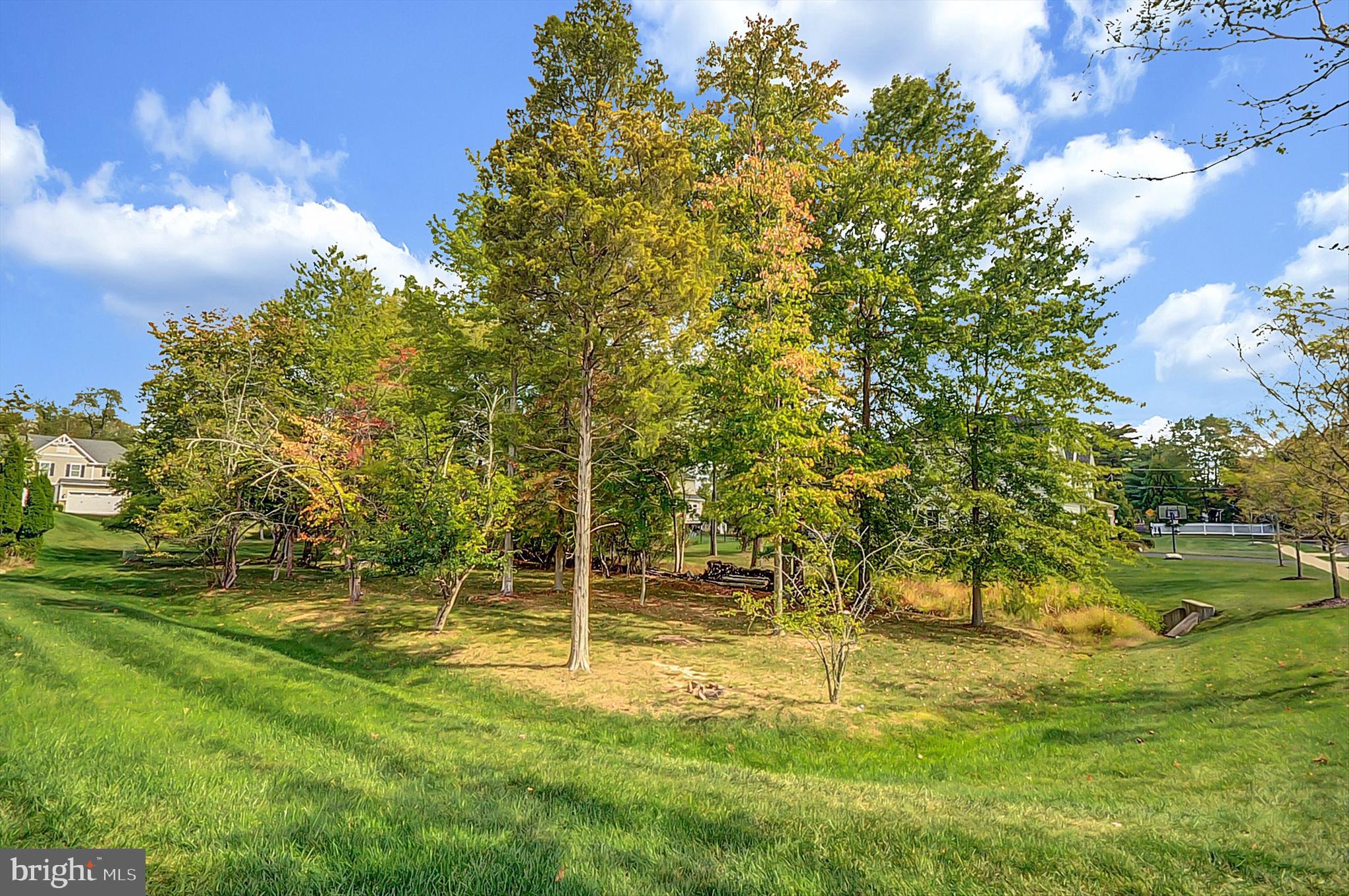 2405 Cindy Lane Warrington, PA 18976 - Photo 42 of 44 a view of yard with green space