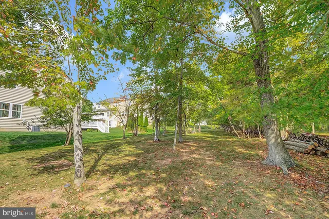 a view of a park with large trees