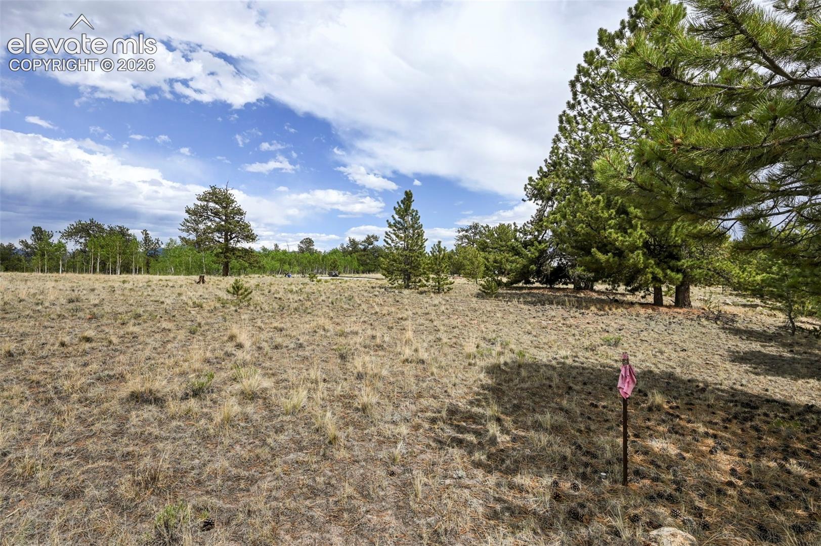 614 Yellowstone Road Hartsel, CO 80449 - Photo 12 of 42 Gallery Image 12