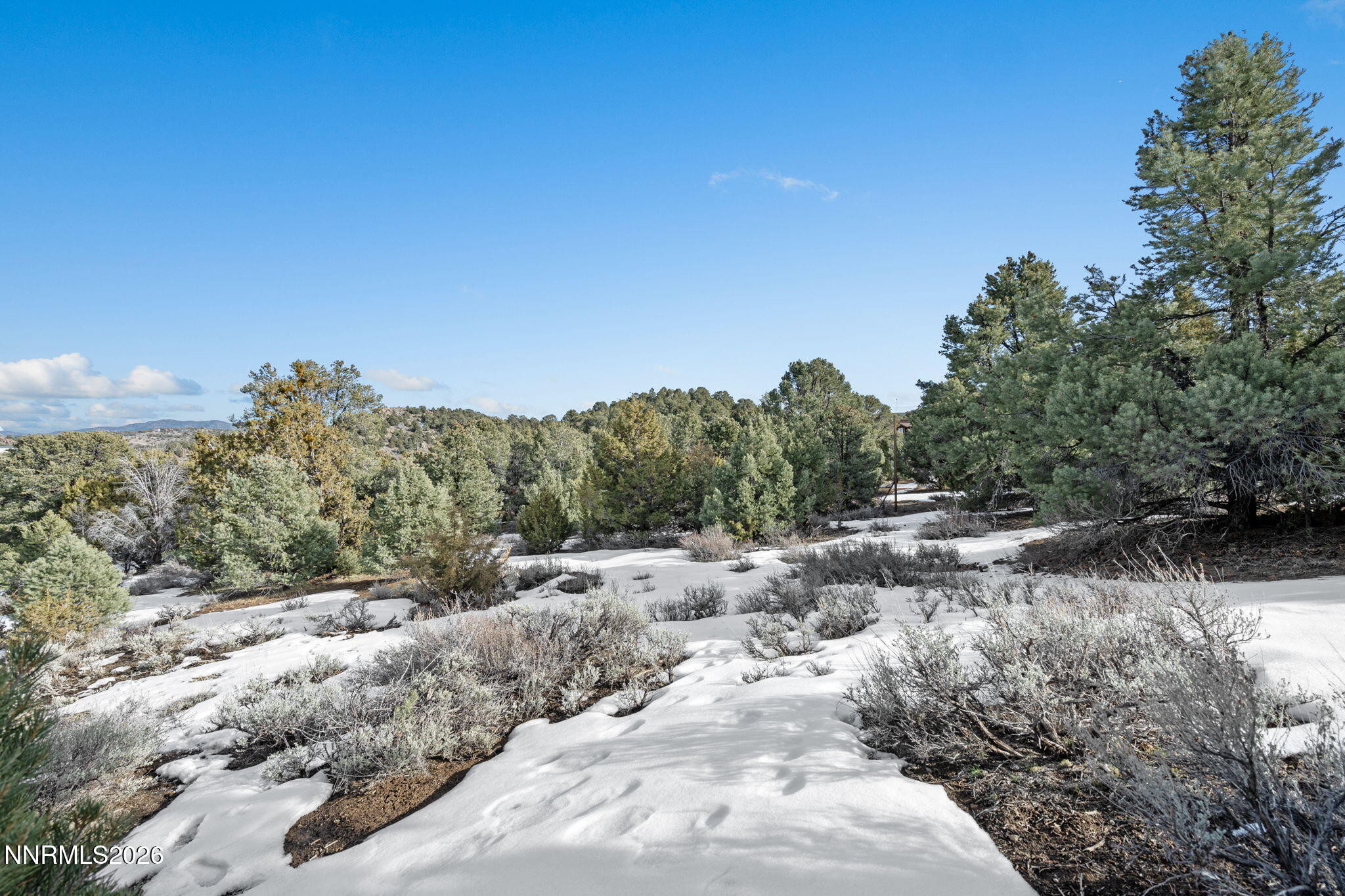 21730 Clemens Road Reno, NV 89521 - Photo 4 of 10 11-web-or-mls-DSC09209