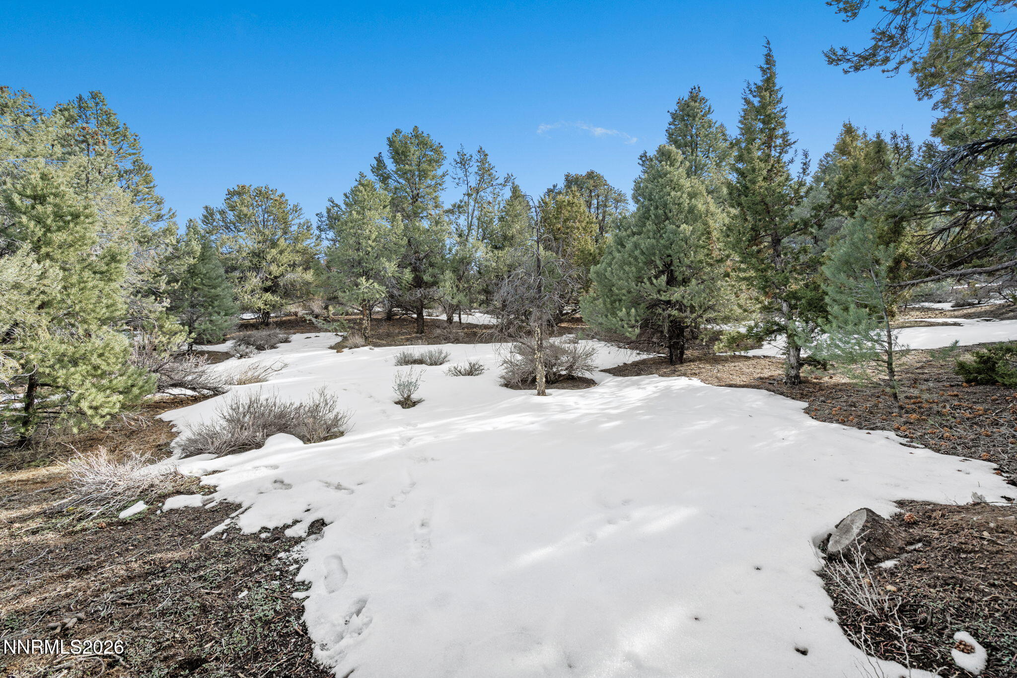 21730 Clemens Road Reno, NV 89521 - Photo 8 of 10 15-web-or-mls-DSC09194