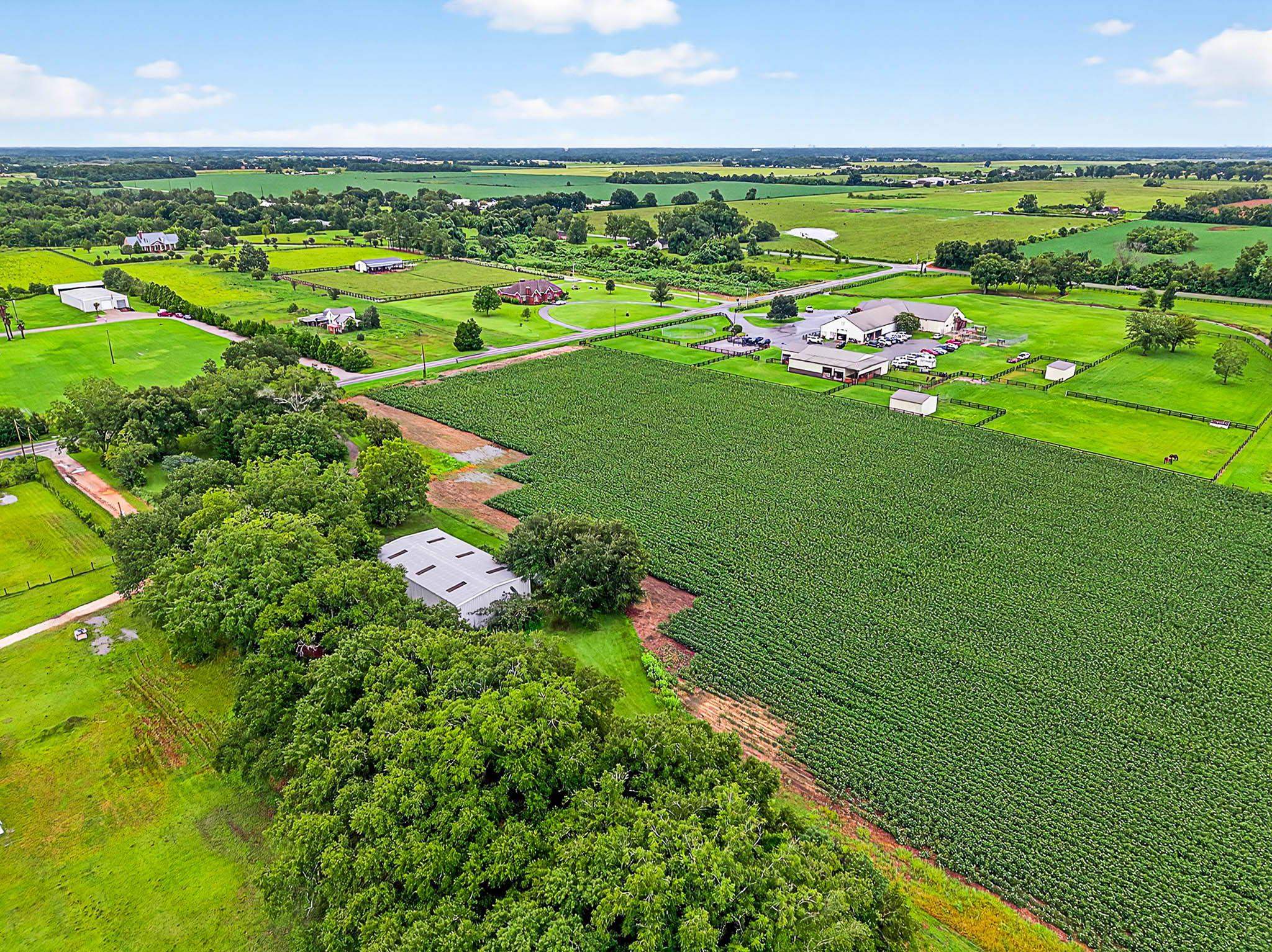 17270 Davis Road Summerdale, AL 36580 - Photo 54 of 97 Aerial View