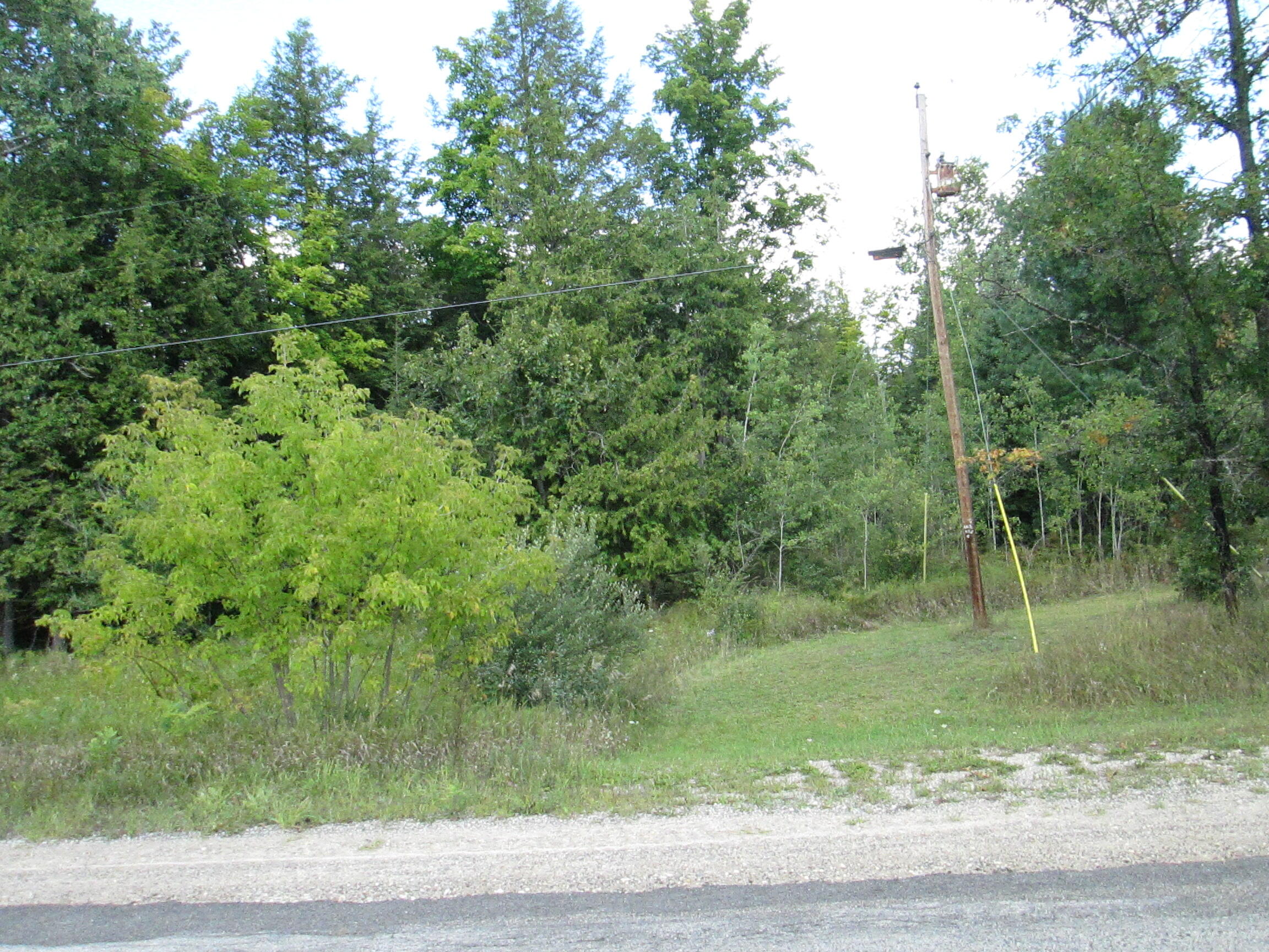 Baker Road Atlanta, MI 49709 - Photo 10 of 10 Gallery Image 10