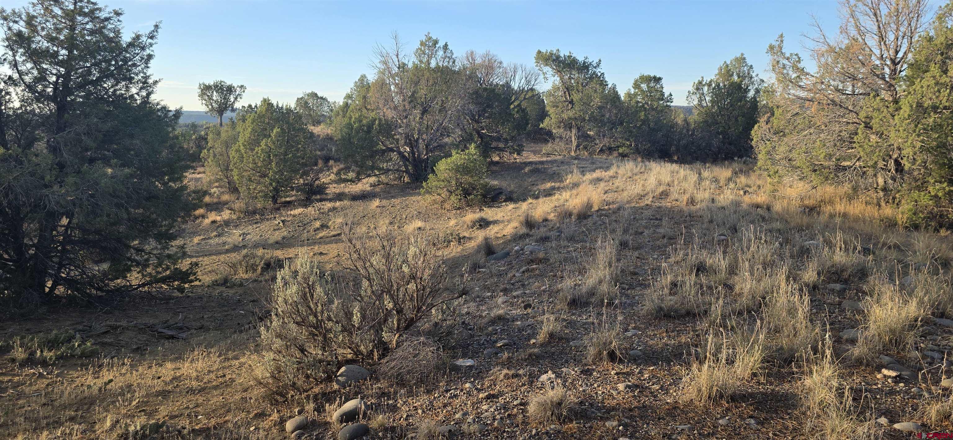 329 Ignacio Co 81137 Ignacio, CO 81137 - Photo 5 of 15 Gallery Image 5