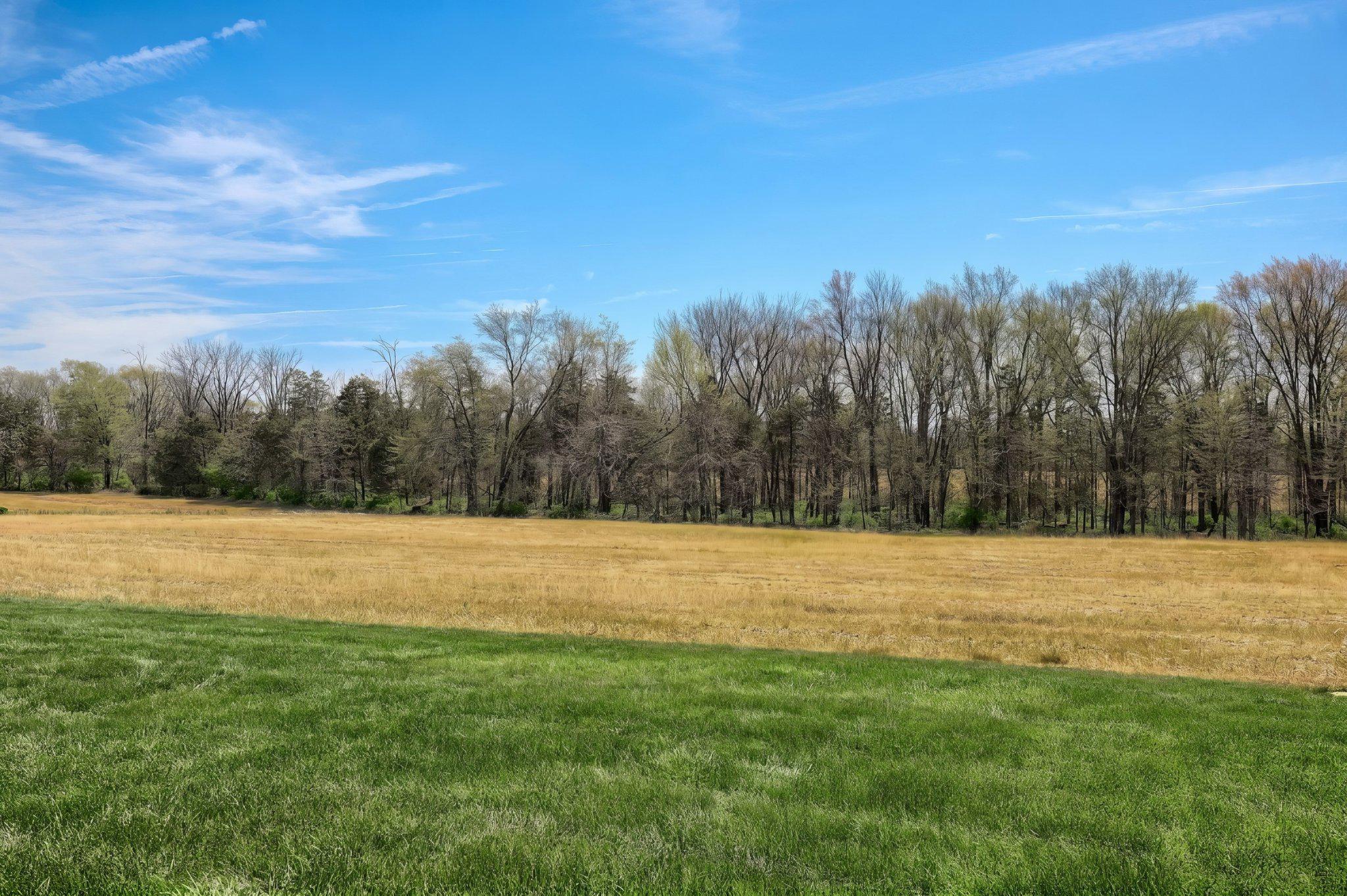305 Gun Club Road New Oxford, PA 17350 - Photo 53 of 56 View from the back of the home.