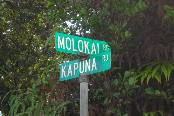 1083 Molokai Road Pahoa, HI 96778 - Photo 6 of 6 Gallery Image 6