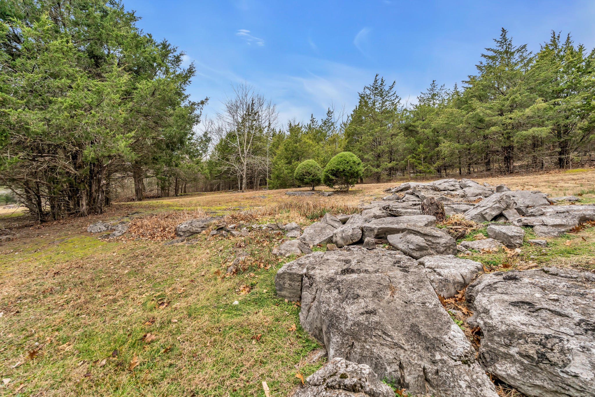 850 Haley Road Watertown, TN 37184 - Photo 34 of 43