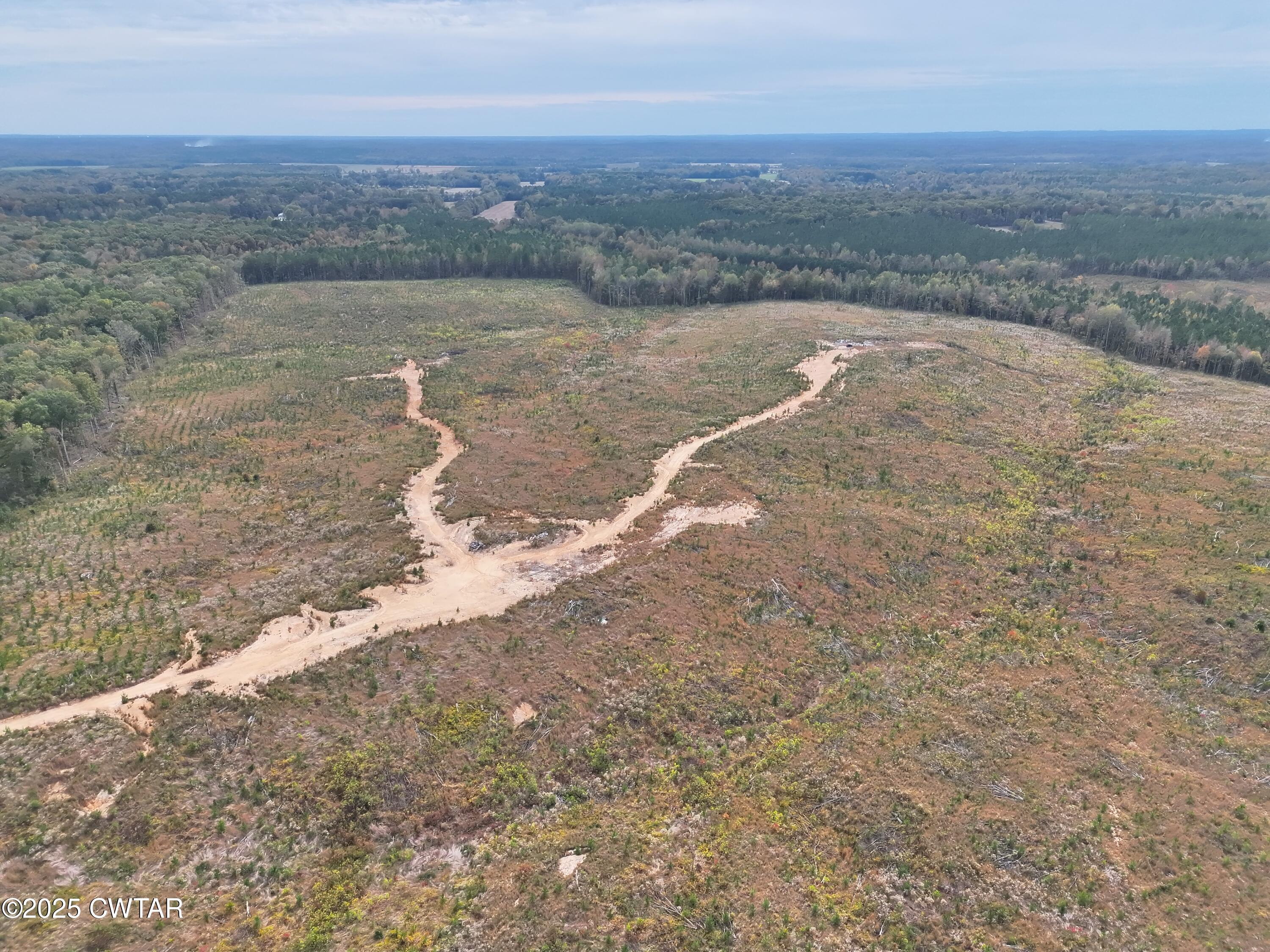 0 Luther Ingle Road Ramer, TN 38367 - Photo 9 of 9 DJI_20251025140540_0016_V