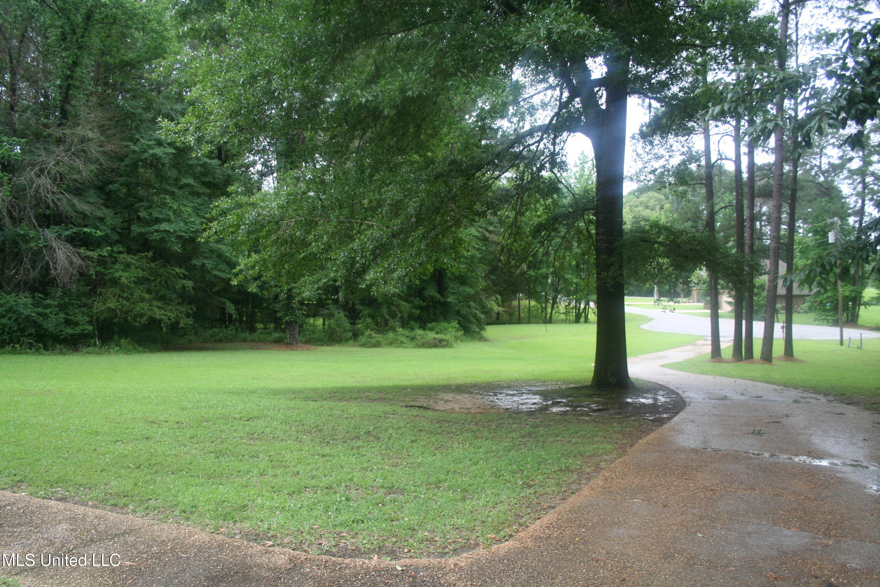 304 Whitetail Court Florence, MS 39073 - Photo 16 of 17 IMG_2341