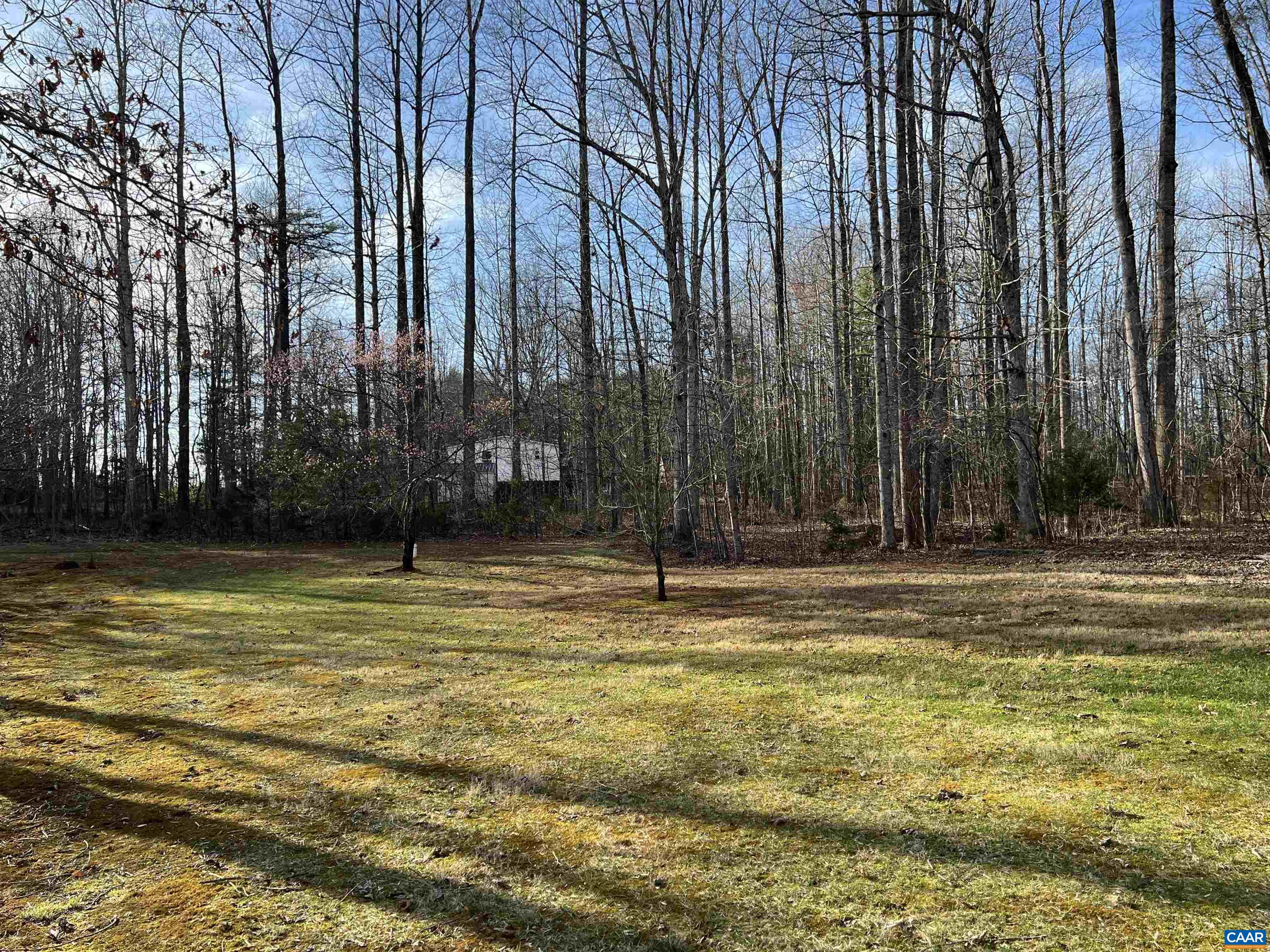 161 Evans Mill Road Dillwyn, VA 23936 - Photo 25 of 52 a view of swimming pool with lawn chairs and large trees