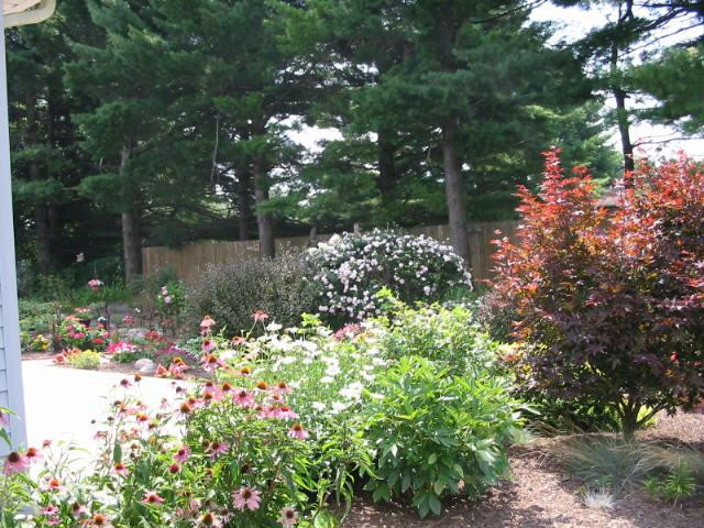 5900 North Maple Road Saline, MI 48176 - Photo 3 of 26 Photo 3