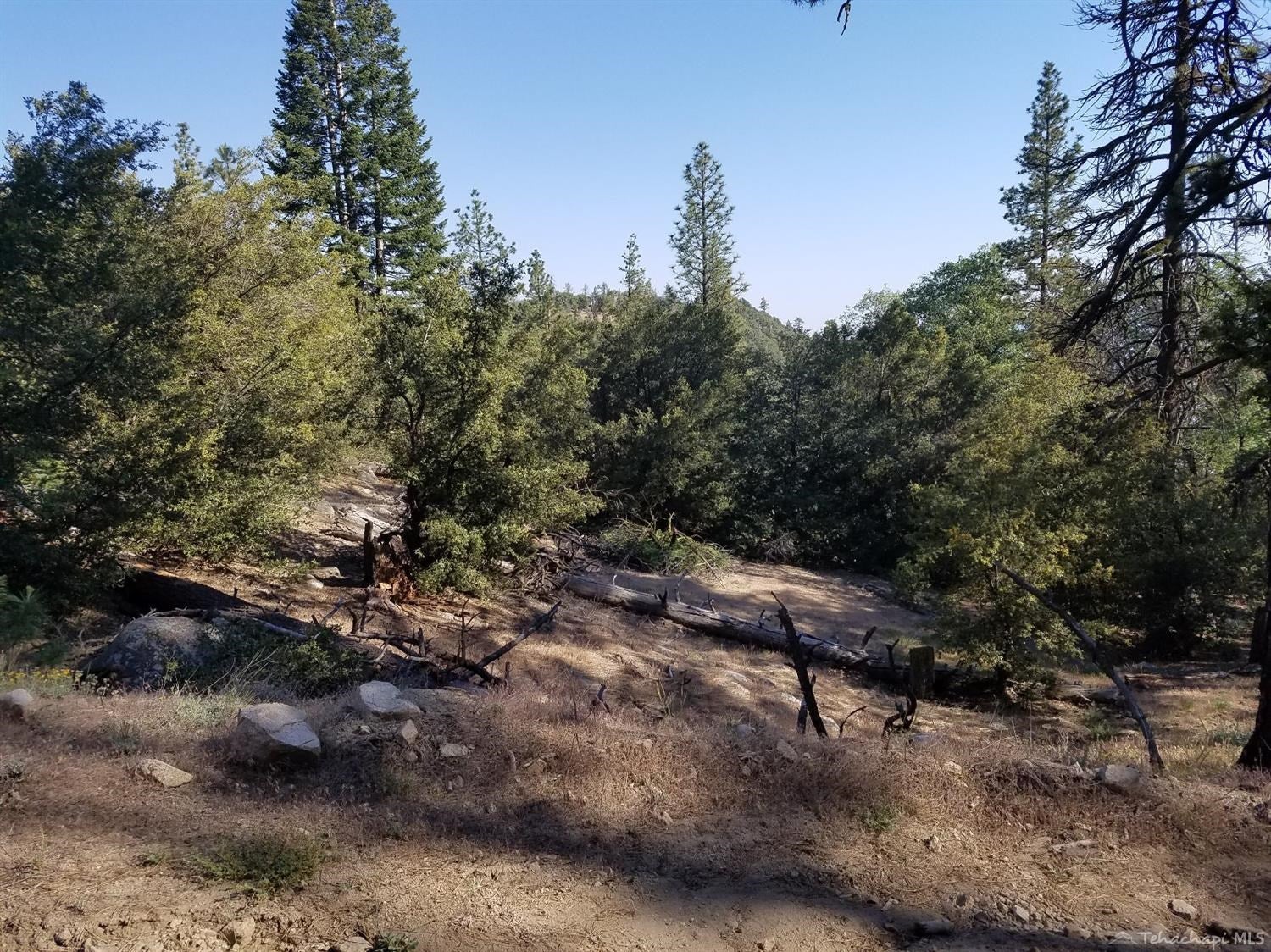 0 Piute Pines Caliente, CA 93518 - Photo 15 of 20 Gallery Image 15