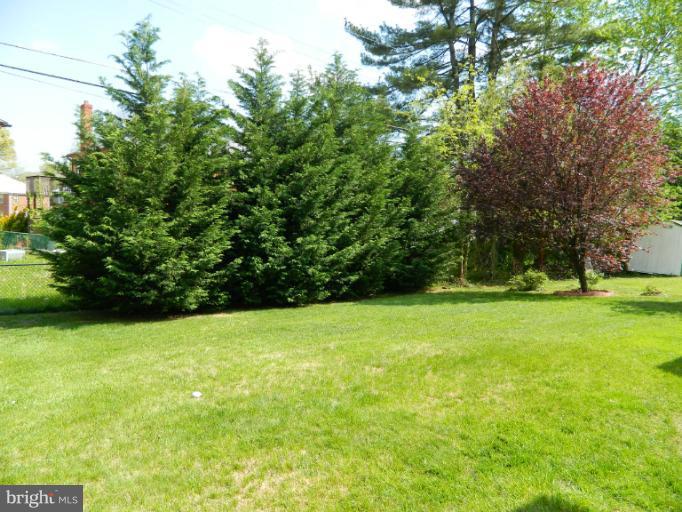 729 Charing Cross Road Baltimore, MD 21229 - Photo 3 of 26 a view of field with trees in the background