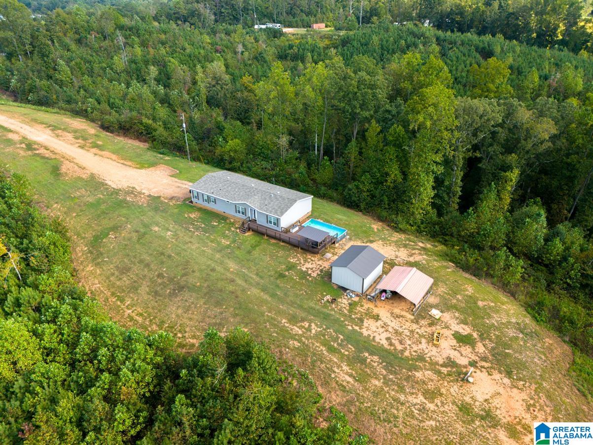 28 County Road 63 Ranburne, AL 36273 - Photo 35 of 47 Gallery Image 35