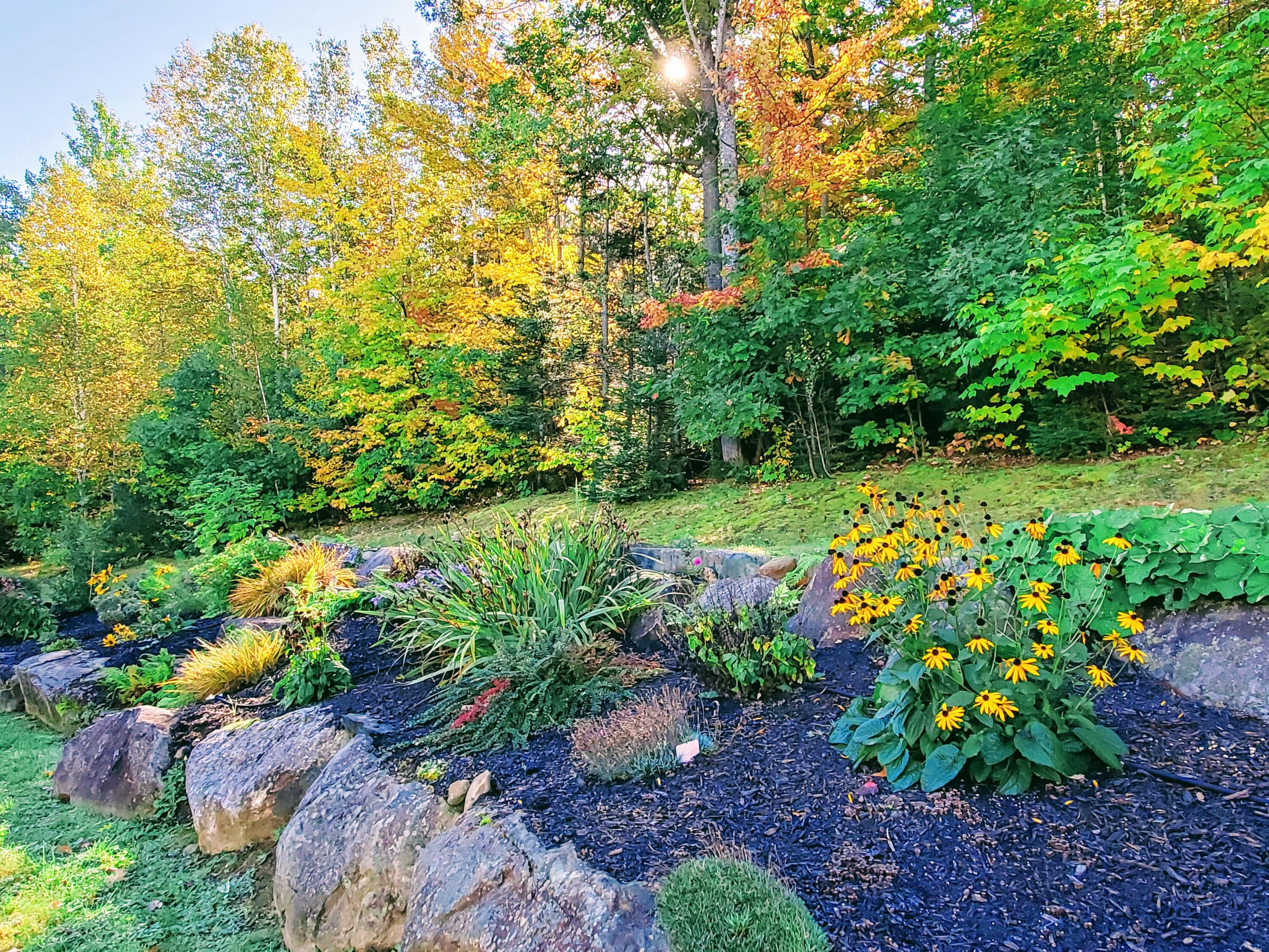 26 Staples Road Madrid Township, ME 04966 - Photo 6 of 62 20211006_095539