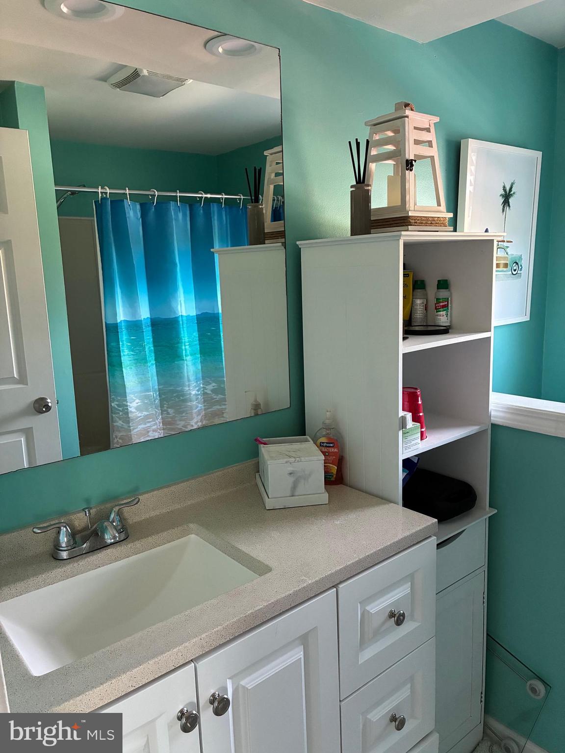 410 Shorbs Hill Road Hanover, PA 17331 - Photo 19 of 33 a bathroom with a sink and a mirror