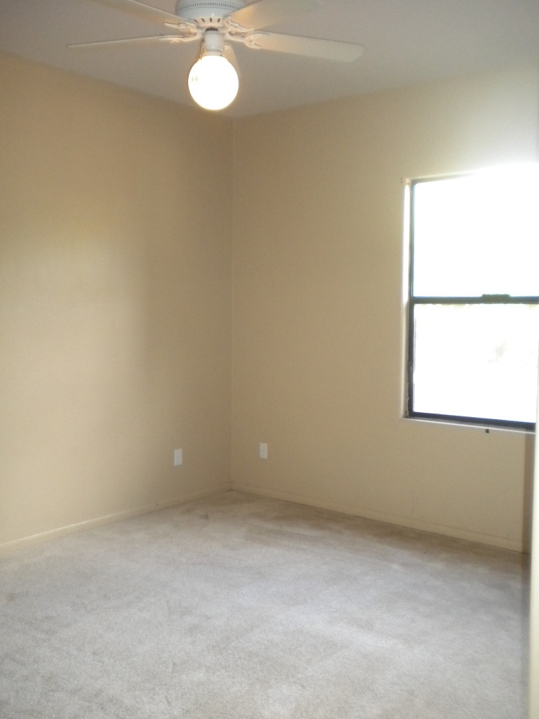 25016 South Power Road Gilbert, AZ 85298 - Photo 12 of 25 Downstairs back bedroom