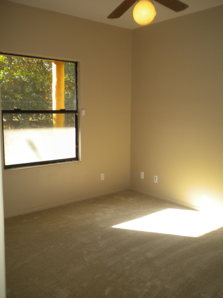 25016 South Power Road Gilbert, AZ 85298 - Photo 13 of 25 Downstairs front bedroom