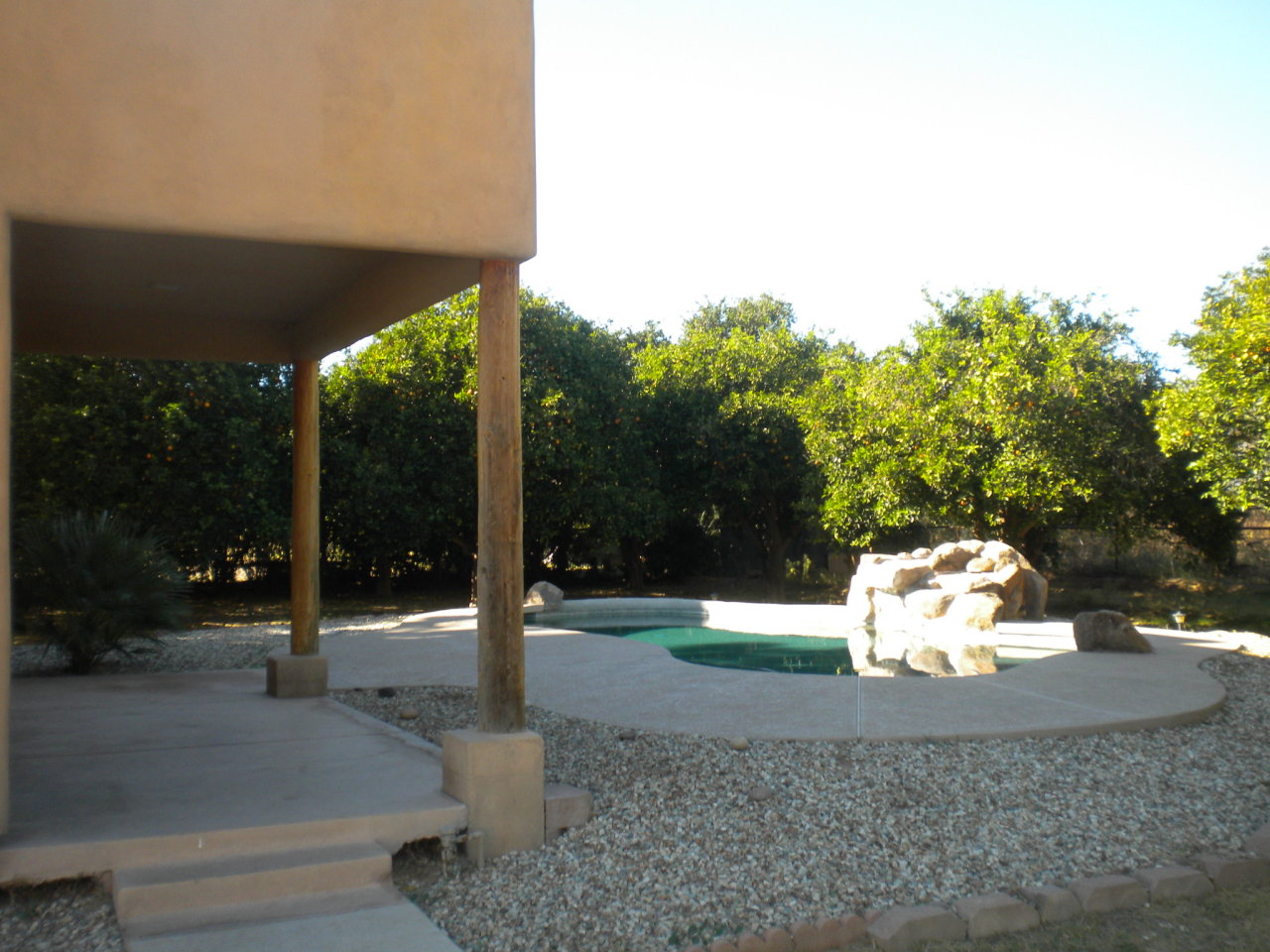 25016 South Power Road Gilbert, AZ 85298 - Photo 4 of 25 Pool area