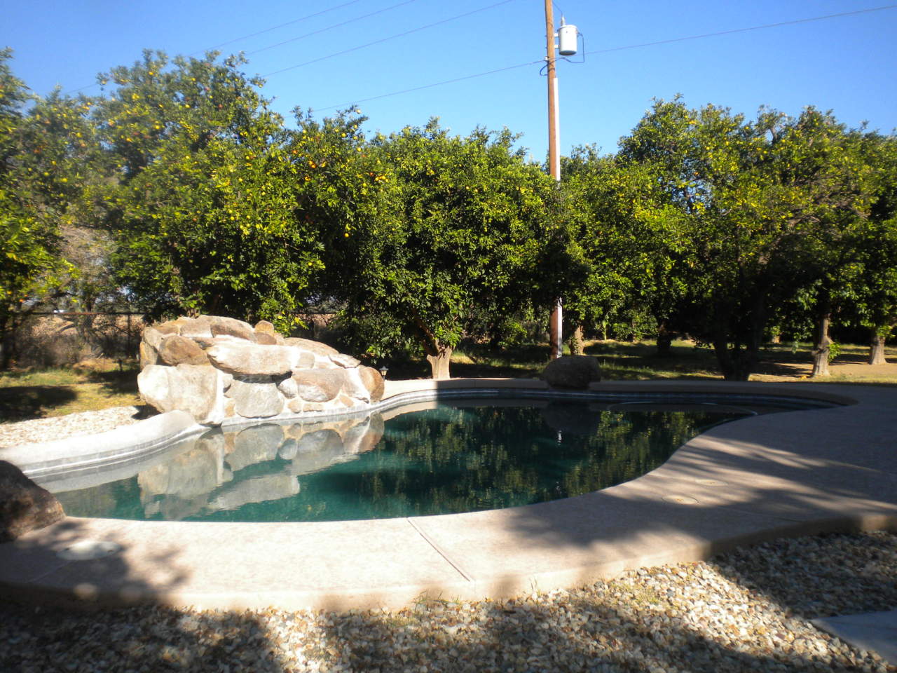 25016 South Power Road Gilbert, AZ 85298 - Photo 5 of 25 Pool