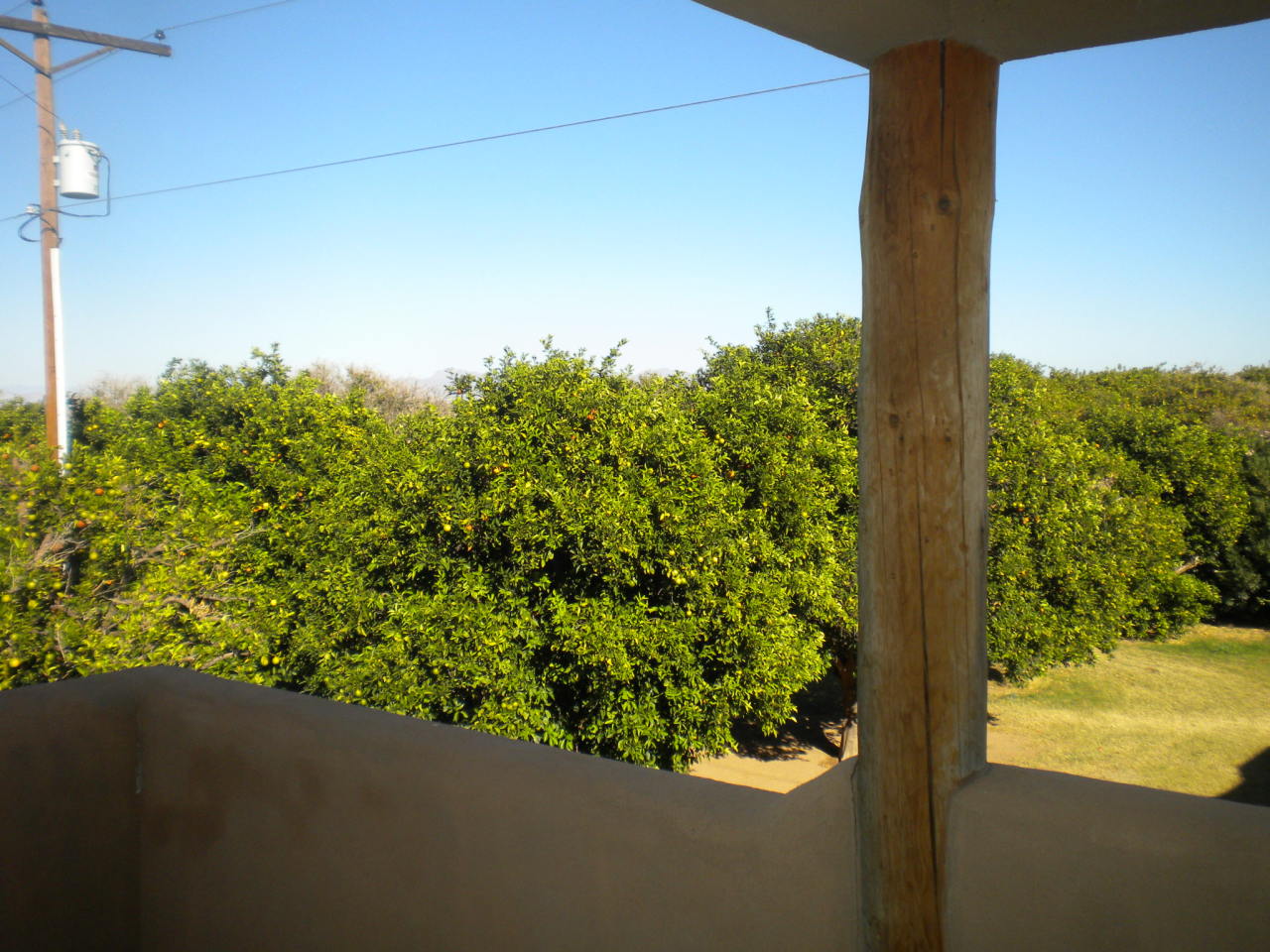 25016 South Power Road Gilbert, AZ 85298 - Photo 7 of 25 View of the groves looking northeast