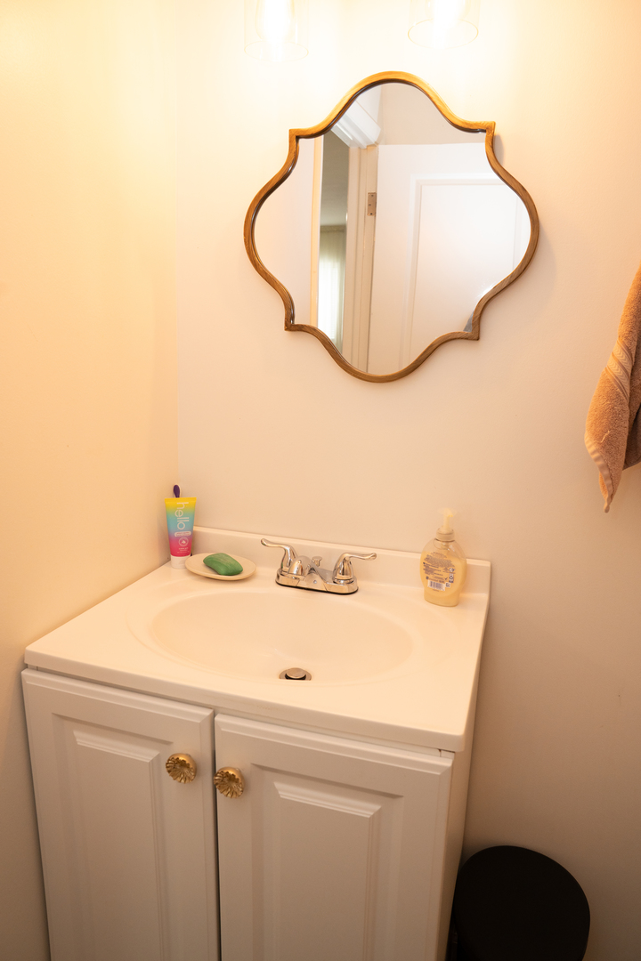 214 South Mt Prospect Road Mount Prospect, IL 60056 - Photo 13 of 25 a bathroom with a sink and a mirror
