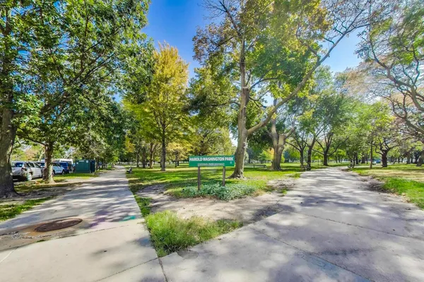 a view of a park with large trees