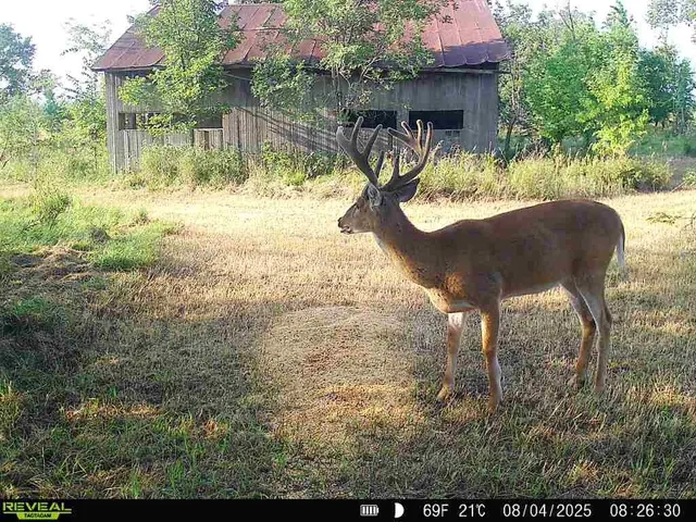 $703,840 | Oxen Road, LeRoy, KS 66857