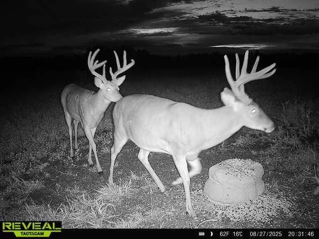 $703,840 | Oxen Road, LeRoy, KS 66857