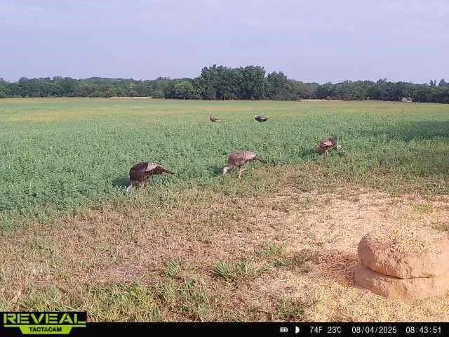 $703,840 | Oxen Road, LeRoy, KS 66857