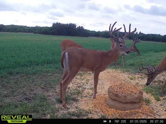 $703,840 | Oxen Road, LeRoy, KS 66857