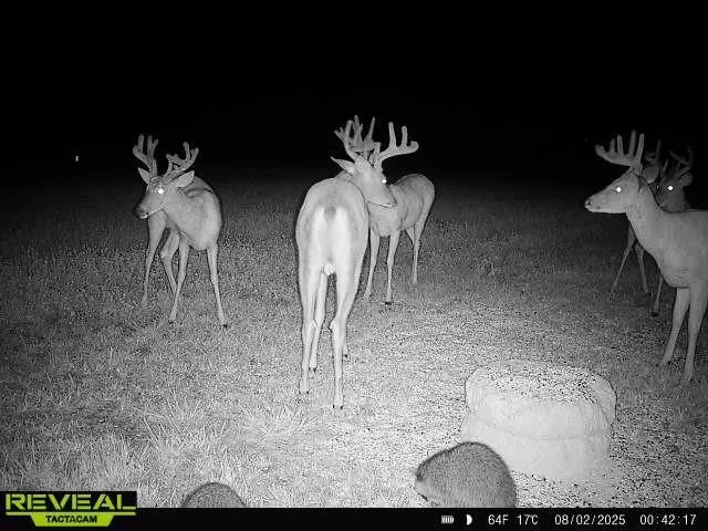 $703,840 | Oxen Road, LeRoy, KS 66857