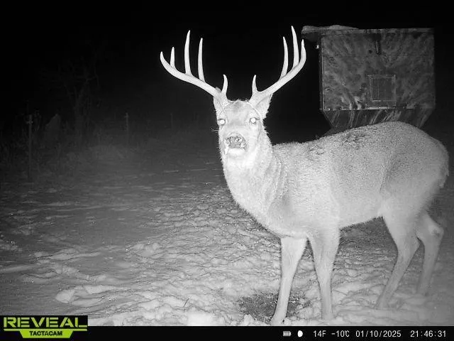 $703,840 | Oxen Road, LeRoy, KS 66857