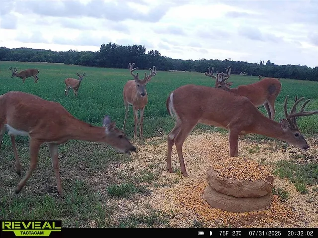 $703,840 | Oxen Road, LeRoy, KS 66857