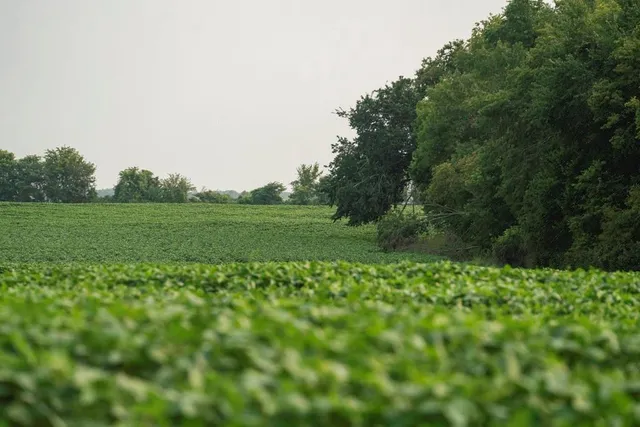 $703,840 | Oxen Road, LeRoy, KS 66857