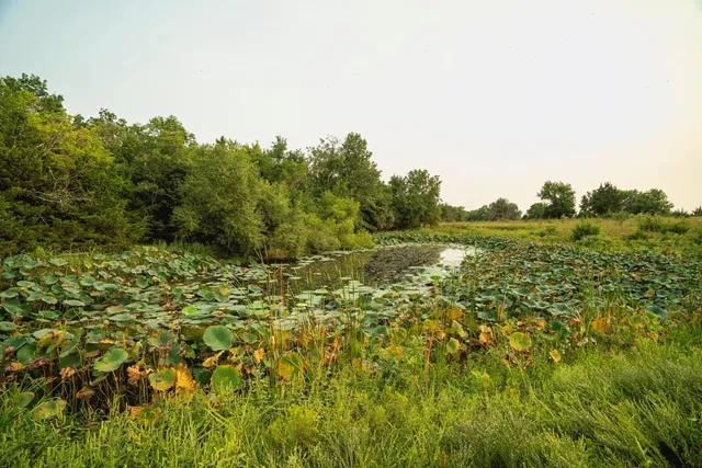 $703,840 | Oxen Road, LeRoy, KS 66857