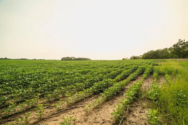 $703,840 | Oxen Road, LeRoy, KS 66857