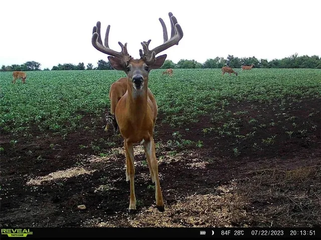 $703,840 | Oxen Road, LeRoy, KS 66857