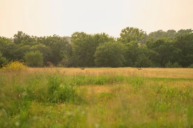 $703,840 | Oxen Road, LeRoy, KS 66857