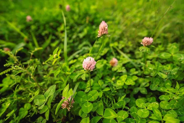 $703,840 | Oxen Road, LeRoy, KS 66857