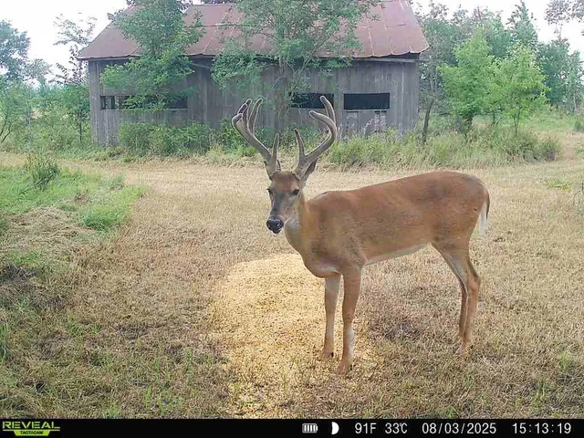 $703,840 | Oxen Road, LeRoy, KS 66857