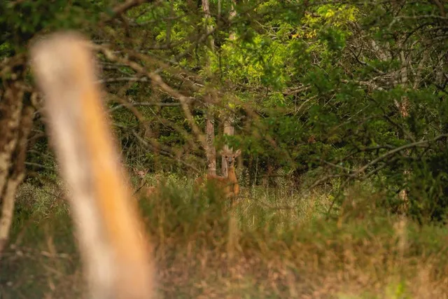 $703,840 | Oxen Road, LeRoy, KS 66857