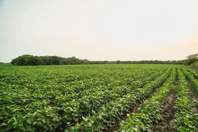 $703,840 | Oxen Road, LeRoy, KS 66857