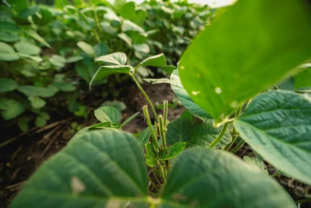 $703,840 | Oxen Road, LeRoy, KS 66857