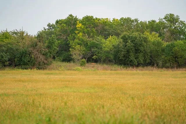 $703,840 | Oxen Road, LeRoy, KS 66857