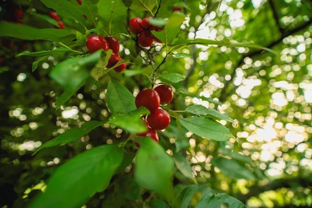 $703,840 | Oxen Road, LeRoy, KS 66857