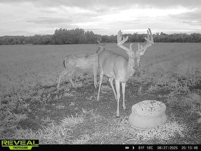 $703,840 | Oxen Road, LeRoy, KS 66857