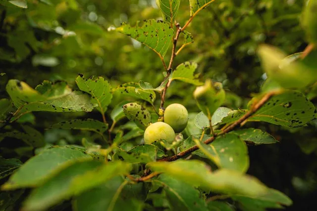 $703,840 | Oxen Road, LeRoy, KS 66857