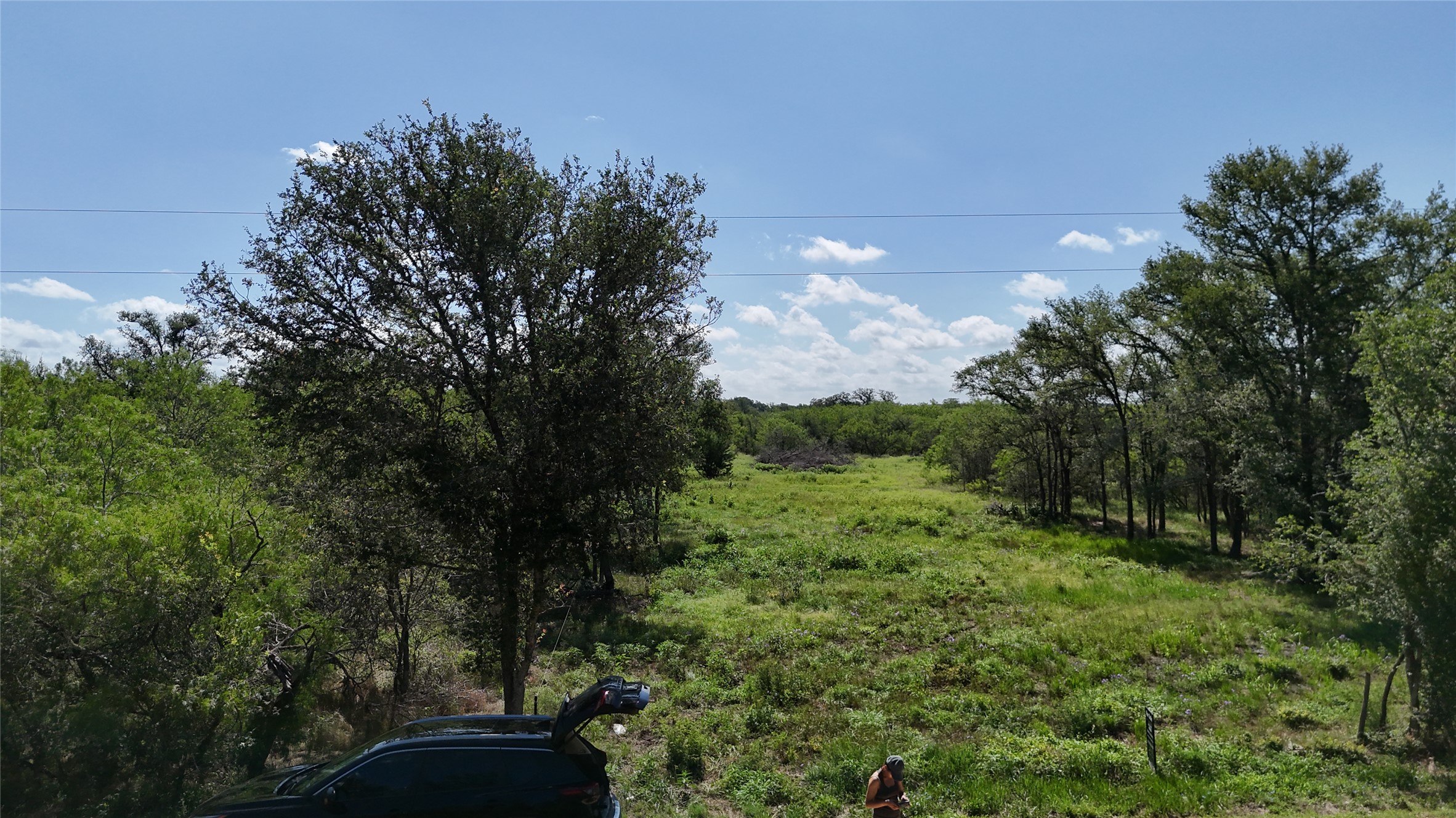1554 Father Anders Loop Waelder, TX 78959 - Photo 8 of 9 Expansive green space with mature trees under a clear sky