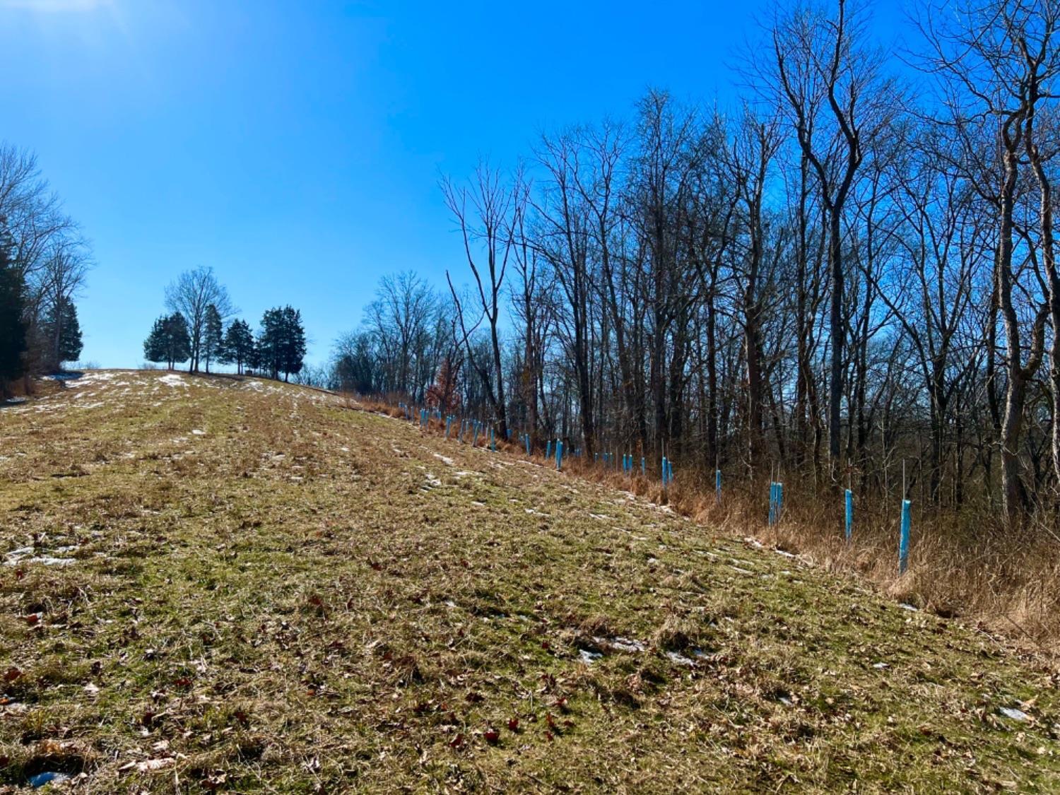 0 Balcony Hills Road Aberdeen, OH 45101 - Photo 26 of 50